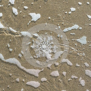 Huge sparkling snowflake on the sand in the sea foam. Concept of Winter and Christmas vacation on the beach and resort.