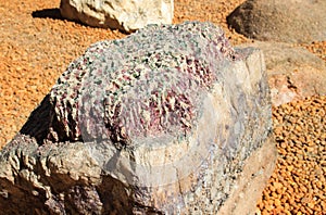 A huge stone with magical beautiful pink and white quartz