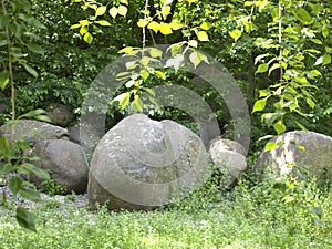 Huge stones in the clearing