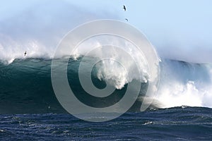 Huge surf at Cape Banks, Sydney, Australia.