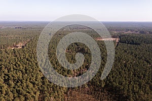 Huge swathes of forest, view from a drone