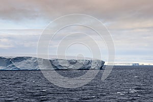 Huge Tabular Icebergs floating in Bransfield Strait near the nor