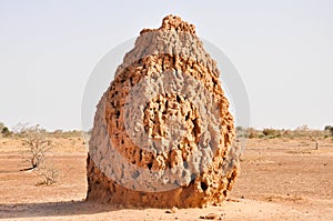 Huge Termite Cathedral in the desert