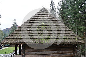 Huge thatched roof of traditional ukrainian house. Straw roof with dried grass