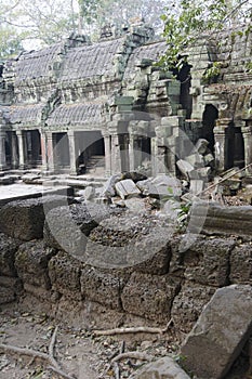 Huge tree roots engulf the ruined temple of Ta Prohm