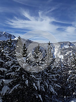 Nature and snow on the mountain photo