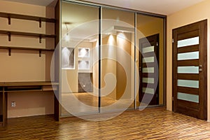 Huge wardrobe of modern apartment