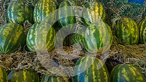 Huge watermelons in the fresh fruit market