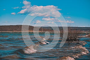 Huge waves caused by the wind on a large lake near the forest. reed beach at a dam for hydroelectric power in spring