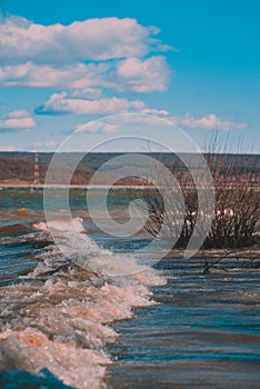 Huge waves caused by the wind on a large lake near the forest. reed beach at a dam for hydroelectric power in spring