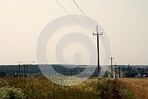 Huge wheat field near higway road