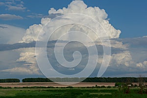 A huge white cloud over the countryside. Landscape with green grass, forest and field.