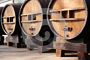 Huge wooden barrels