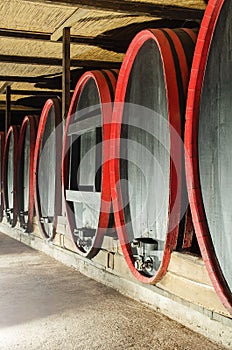 Huge wooden wine barrels in old cellar