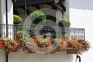 Immensamente fiorito balcone 