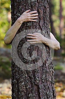 Hugging a tree