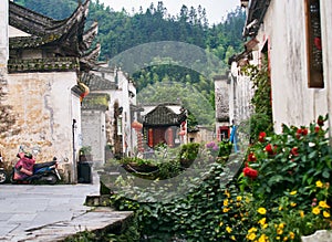 Huizhou Architecture of Xidi Village