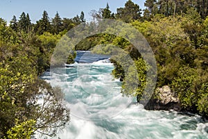 Huka Falls in New Zealand. Fast surging water through green foliage