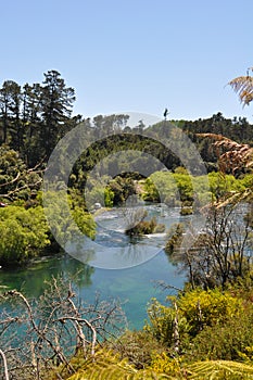 Huka Falls walk