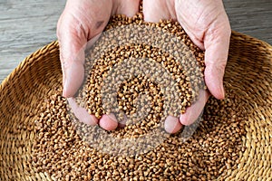 Hulled common buckwheat grains. Fagopyrum esculentum, dried seeds