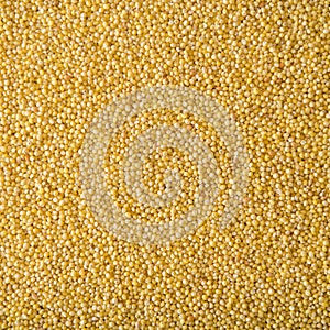 Hulled Millet