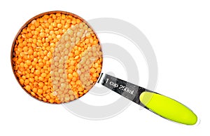 Hulled red lentils in measuring cup cutout