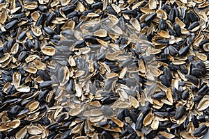 Hulls sunflower seed husks. The husks of the sunflower seeds