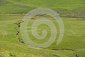 The Hulun Buir prairie