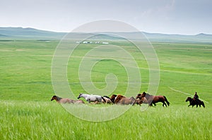 Hulunbeir landscape