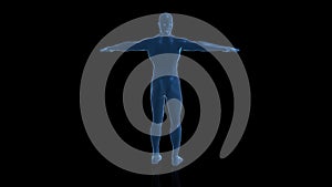Human 3D Holographic Projection with Futuristic Blue HUD. Male x-ray body scan seamless loop