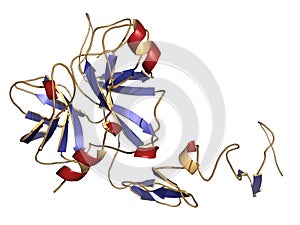 Human activated protein C APC, drotrecogin alfa, without Gla-domain. Has anti-thrombotic and anti-inflammatory properties. Used. photo