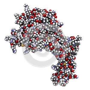 Human activated protein C (APC, drotrecogin alfa, without Gla-domain). Has anti-thrombotic and anti-inflammatory properties. Used photo