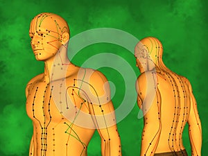 Human Acupuncture Model