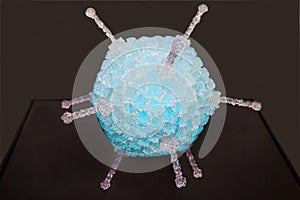 Human adenovirus lat. Adenoviridae blue on a dark background , adenoviruses belong to the group of acute respiratory viral infec photo