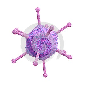 Human adenoviruses are viruses that can cause respiratory disease, conjunctivitis, croup, bronchitis or pneumonia. Family photo