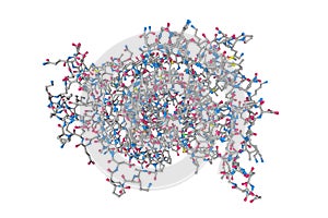 Human aldose reductase in complex with inhibitor. Molecular model. 3d illustration