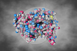 Human aldose reductase in complex with inhibitor. Space-filling molecular model. 3d illustration photo