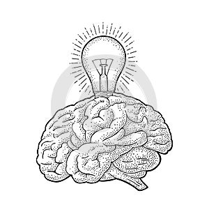 Human anatomy brain and glowing light incandescent bulb. Vector engraving