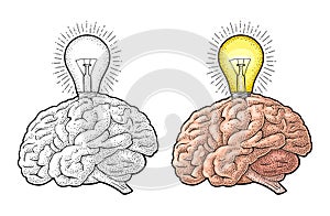 Human anatomy brain and glowing light incandescent bulb. Vector engraving