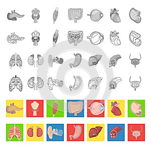 Human anatomy color flat, line and monochrome icons set