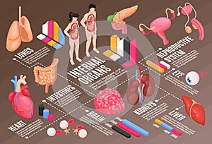 Human Anatomy Flowchart