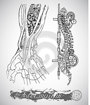 Human anatomy hand and backbone with vintage mechanism in steam punk style