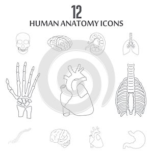 Human Anatomy icons set vector
