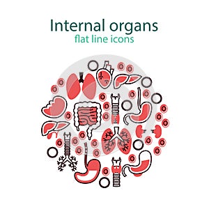 Human anatomy icons. Vector internal organs pictogram set.
