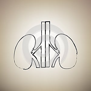 Human anatomy. Kidneys sign. Vector. Brush drawed black icon at