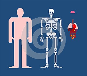 Human anatomy pixel art. 8bit Internal organs and skeleton. Pixelate 16bit. Old game computer graphics style