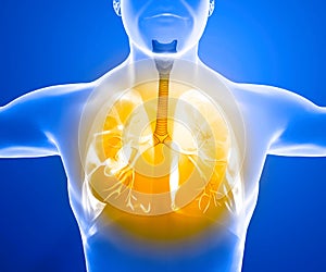 Human anatomy, problems with the respiratory system, severely damaged lungs. Bilateral pneumonia