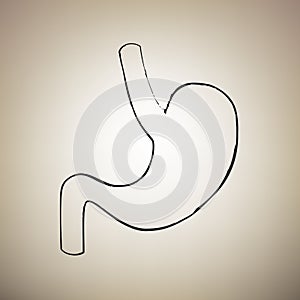 Human anatomy. Stomach sign. Vector. Brush drawed black icon at