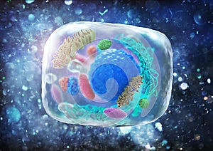 Human animal cell under microscope.