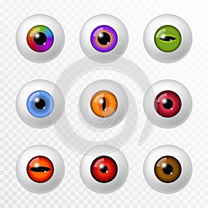 Human and animal eye. Different color eyeball and lenses, various round iris retina and pupils. Optical lens photo